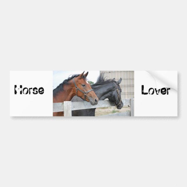 Pegatina Para Coche Los amantes de los caballos (Frente)