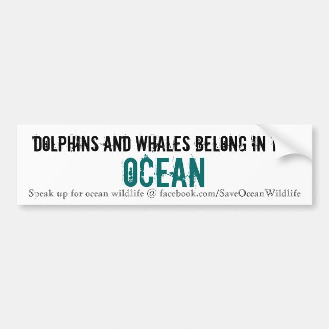 Pegatina Para Coche Los delfínes y las ballenas pertenecen en el (Frente)
