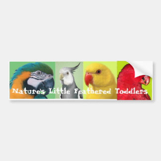Pegatina Para Coche Los pequeños niños emplumados de la naturaleza