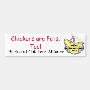 Pegatina Para Coche ¡Los pollos son mascotas, también! Bumpersticker