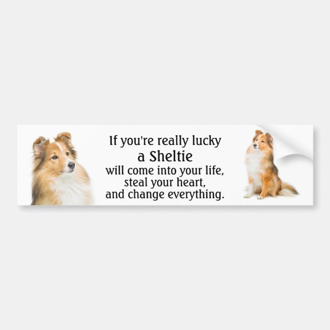 Pegatina Para Coche Lucky Sheltie (Frente)