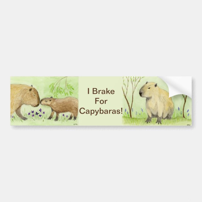 Pegatina Para Coche Madre y bebé capibara (Frente)