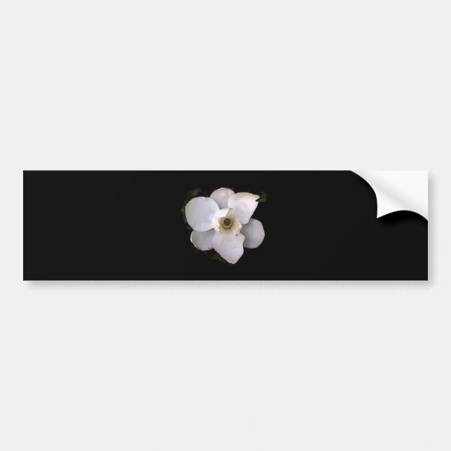Pegatina Para Coche Magnolia (Frente)