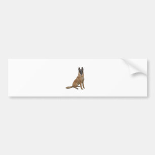 Pegatina Para Coche Malinois belga (A)