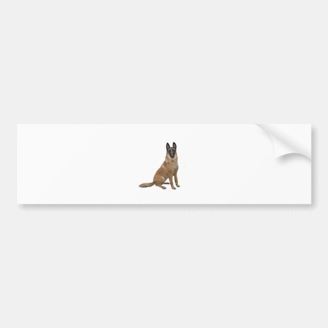 Pegatina Para Coche Malinois belga (A) (Frente)