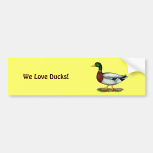 Pegatina Para Coche Mallard Duck Drake