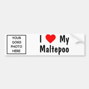 Pegatina Para Coche Maltepoo