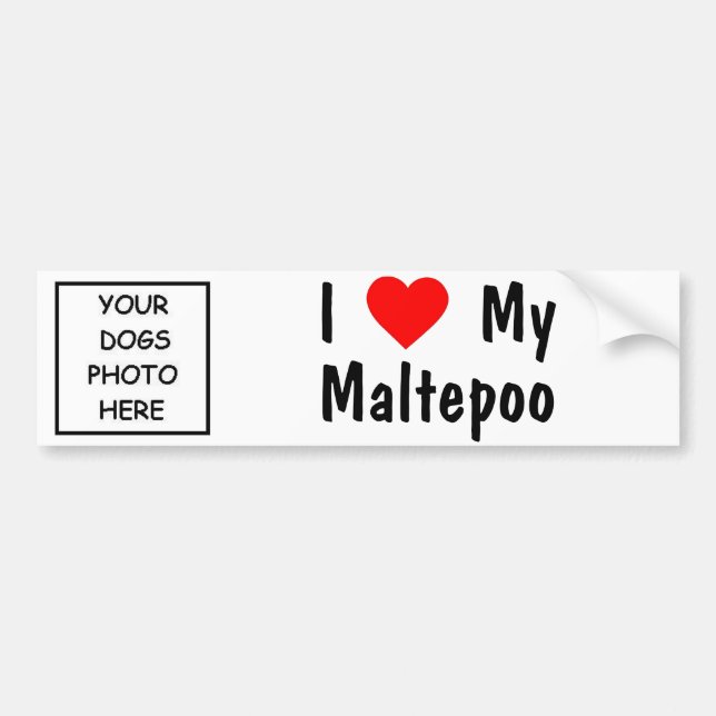 Pegatina Para Coche Maltepoo (Frente)
