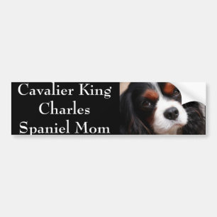 Pegatina Para Coche Mamá arrogante del perro de aguas de rey Charles