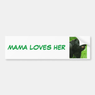 PEGATINA PARA COCHE MAMÁ LOVES HER PUGS