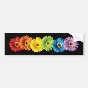 Pegatina Para Coche Margaritas del arco iris