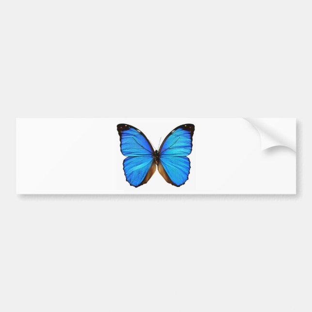 Pegatina Para Coche Mariposa (Frente)