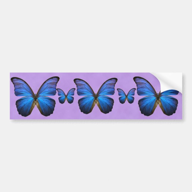Pegatina Para Coche Mariposa azul magnífica de Morpho (Frente)