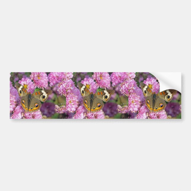 Pegatina Para Coche Mariposa de Buckeye común (Frente)