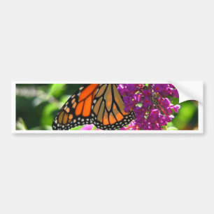 Pegatina Para Coche Mariposa de monarca