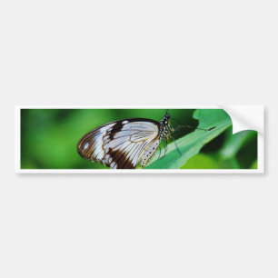 Pegatina Para Coche Marrón oscuro y mariposa gris