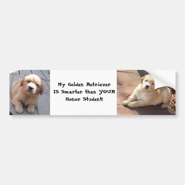 Pegatina Para Coche más elegante que un estudiante del honor (Frente)