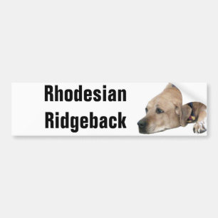 Pegatina Para Coche Mascota Rhodesian Ridgeback