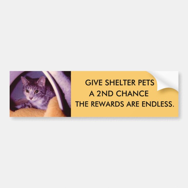 PEGATINA PARA COCHE MASCOTAS (Frente)