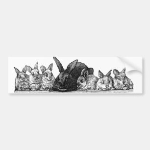 Pegatina Para Coche Maternidad de conejos y bebés