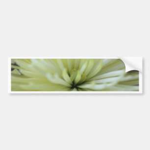 Pegatina Para Coche Mayo Flores #3