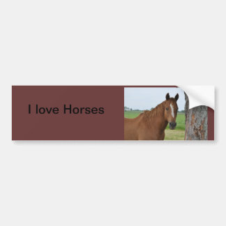 Pegatina Para Coche Me encanta el "Bumper Sticker"