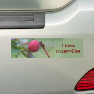 Pegatina Para Coche Me encanta la naturaleza de las libagonflies
