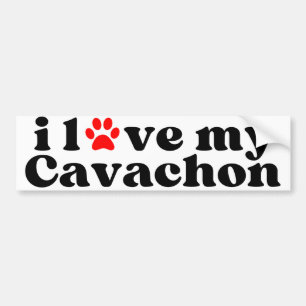Pegatina Para Coche me encanta mi Cavachon
