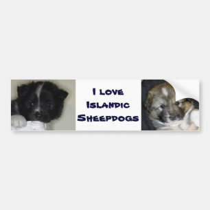 Pegatina Para Coche Me encantan los perros pastores islandeses