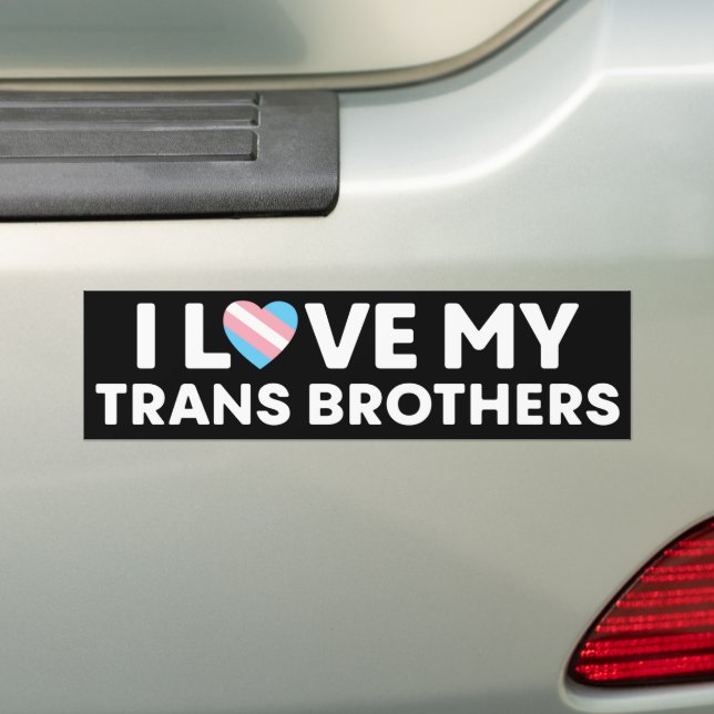 Pegatina Para Coche Me encantan mis hermanos transgénero LGBT (en coche)