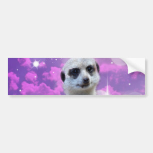 Pegatina Para Coche Meerkat Con Esparkle,