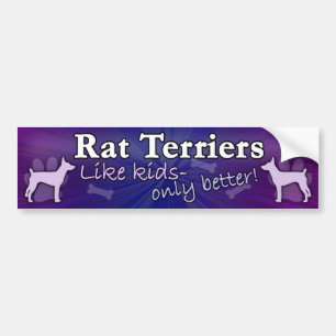 Pegatina Para Coche Mejore que la rata Terrier de los niños