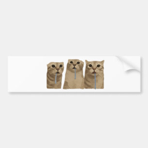 Pegatina Para Coche Meme de Gatos Tontos con Triple Baba