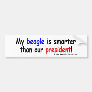 Pegatina Para Coche Mi beagle es más elegante que nuestro presidente