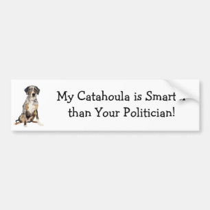 Pegatina Para Coche Mi Catahoula es más elegante que su político