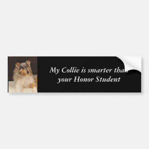 Pegatina Para Coche Mi collie es más elegante que su Hon…