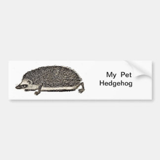 Pegatina Para Coche Mi erizo del mascota