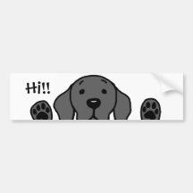 ¡Mi laboratorio negro "hola!! "