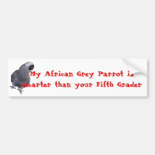 Pegatina Para Coche Mi loro del gris africano…
