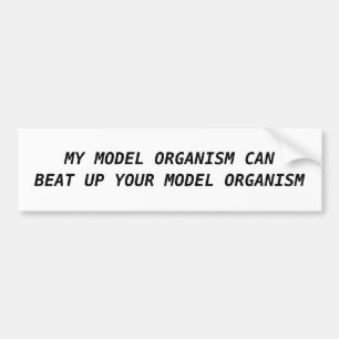 PEGATINA PARA COCHE MI ORGANISMO MODELO PUEDE BATIR PARA ARRIBA SU
