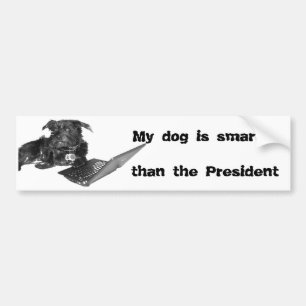 Pegatina Para Coche Mi perro es más elegante que el presidente
