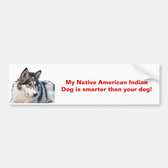 Pegatina Para Coche Mi perro indio del nativo americano es más (Frente)