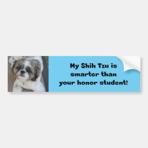 Pegatina Para Coche "Mi Shih Tzu es más elegante que su estudiante de