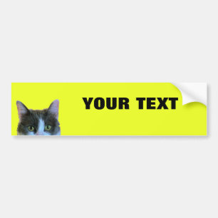Pegatina Para Coche Mirando a escondidas el gato su texto "folio