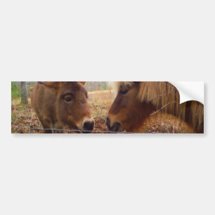 Pegatina Para Coche Mítinico burro y corazón de San Valentín de caball