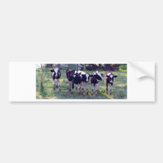 Pegatina Para Coche Moooooo