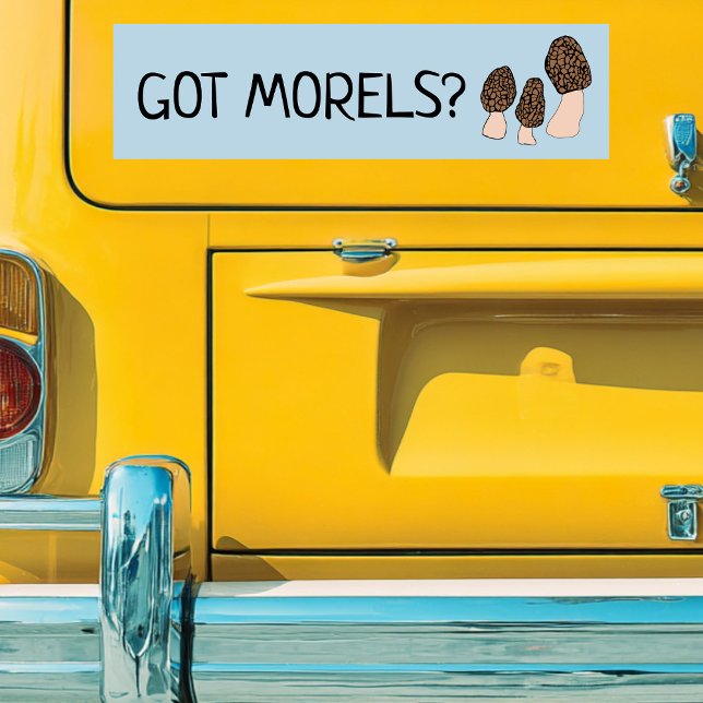 Pegatina Para Coche Morels Mushrooms Fun Fungi PERSONALIZAR IT (GOT Morels Funny Pun Mushrooms Fun Fungi CUSTOMIZE IT Bumper Sticker
)