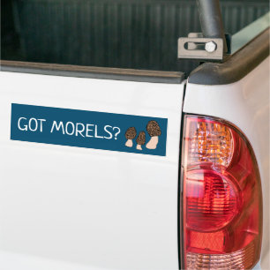 Pegatina Para Coche Morels Mushrooms Fun Fungi PERSONALIZAR IT