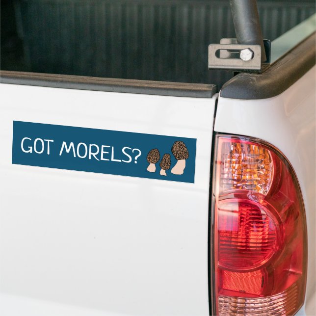 Pegatina Para Coche Morels Mushrooms Fun Fungi PERSONALIZAR IT (En Camión)
