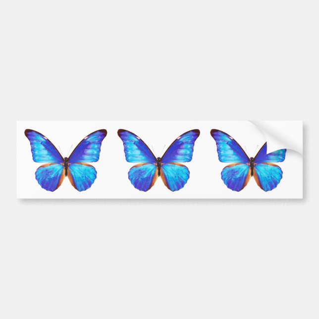 Pegatina Para Coche “Morpho”の優良製品 (Frente)
